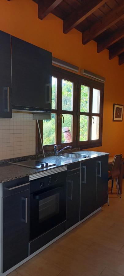 Apartamentos Rurales La Gueertona Ардинес Экстерьер фото